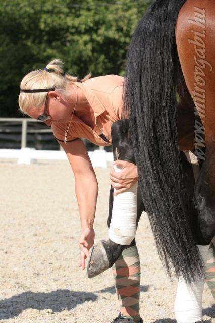 Kattintásra a következő képre ugrik!