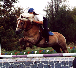 Kattintsra bezr (ESC)