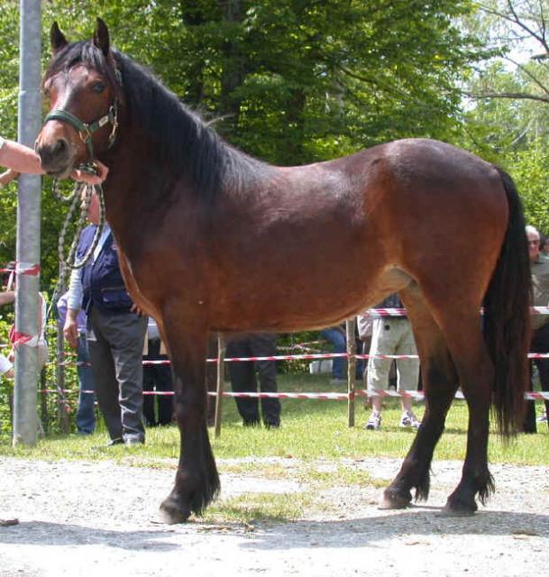 Kattintsra bezr (ESC)