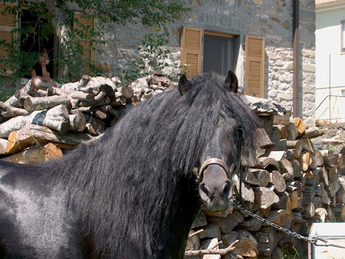 Kattintsra bezr (ESC)