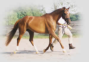 Kattintsra bezr (ESC)