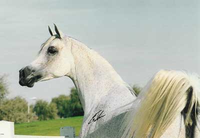 Kattintsra bezr (ESC)