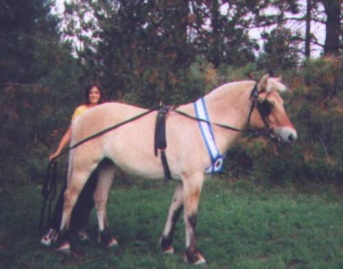 Kattintásra bezár (ESC)