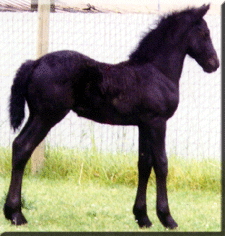 Kattintsra bezr (ESC)