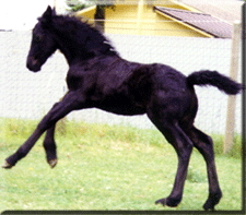 Kattintsra bezr (ESC)