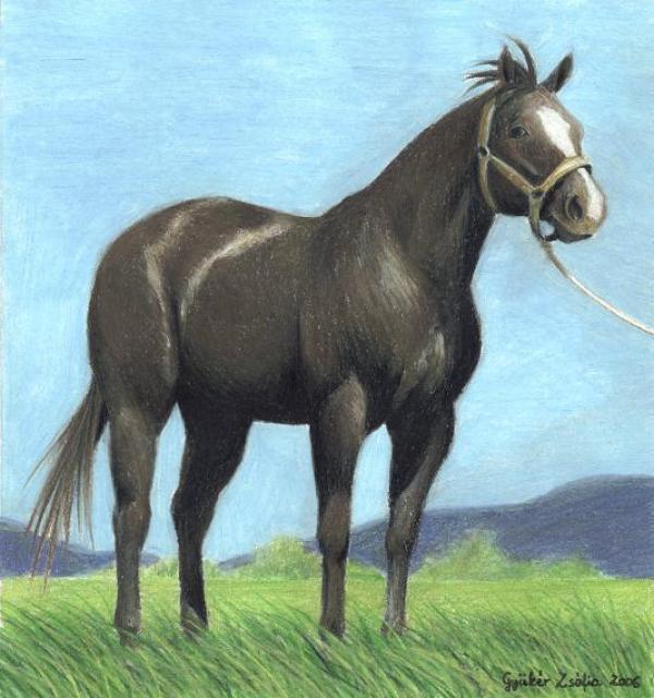 Kattintsra bezr (ESC)