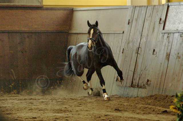 Kattintsra bezr (ESC)