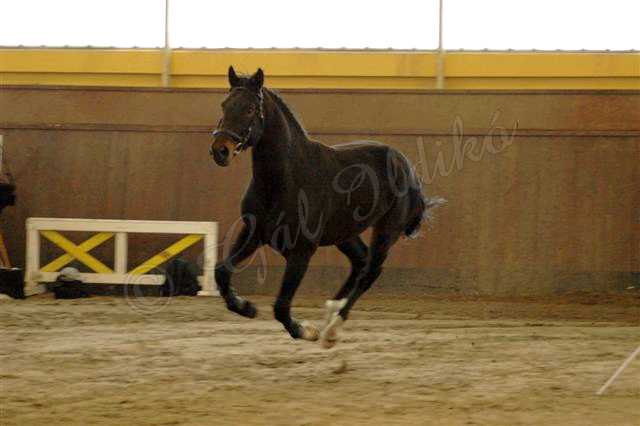 Kattintsra bezr (ESC)