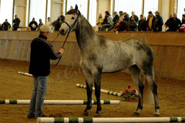 Kattintsra bezr (ESC)