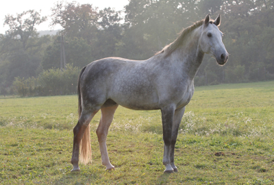 Kattintsra bezr (ESC)