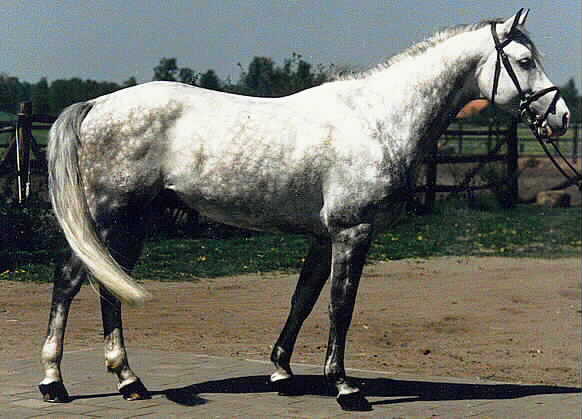 Kattintsra bezr (ESC)