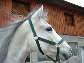 Kattintsra bezr (ESC)