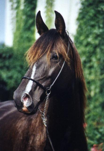 Kattintsra bezr (ESC)