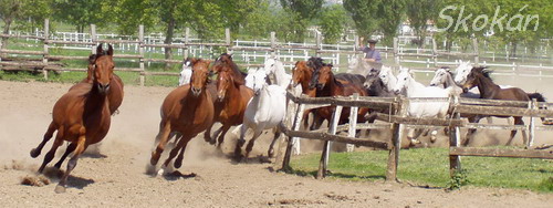Kattintsra bezr (ESC)