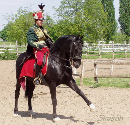 Kattintsra bezr (ESC)