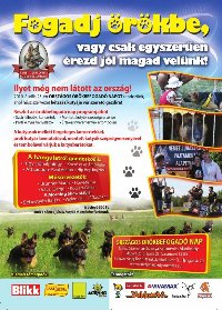 Örökbefogadó nap - katt a képre a nagyításhoz