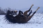 Képek Sebestyén Tündétől