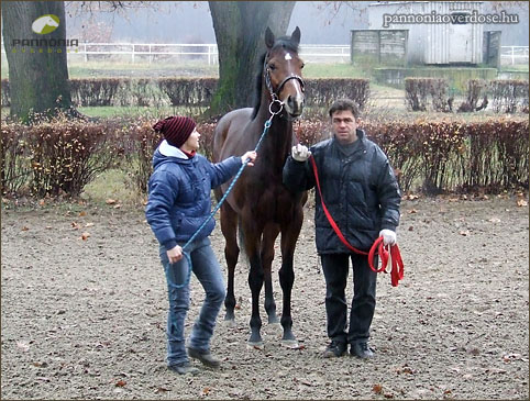 Dózi Budinszki Barbara és Ribárszki Sándor társaságában Alagon
