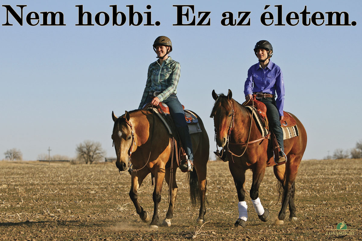 Lovas Dániel (szerkesztő)