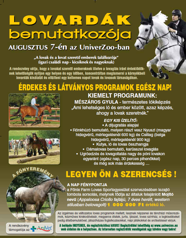 oldal találkozó lovas meet gyakorol az online