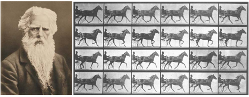Eadweard Muybridge s egyik fotsorozata