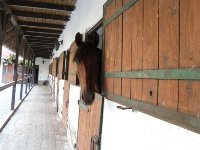 Csiks Lovasudvar