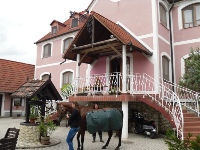 Csiks Lovasudvar