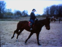 lovak �s lovasok