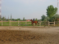 lovak �s lovasok
