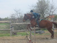 lovak �s lovasok