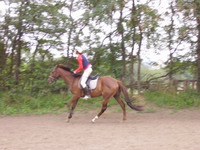 lovak �s lovasok