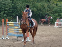 lovak �s lovasok
