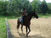 lovak �s lovasok