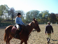 lovak �s lovasok