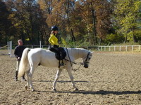 lovak �s lovasok