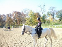 lovak �s lovasok