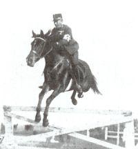 Pajtás Ernő Hedvigen