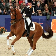 Adelinde Cornelissen