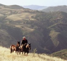 Monty Roberts az Igazi Suttogó Magyarországon