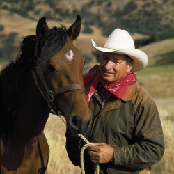 Monty Roberts az Igazi Suttogó Magyarországon