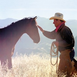 Monty Roberts az Igazi Suttogó Magyarországon