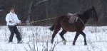 Síjöring - Halápi lovadra