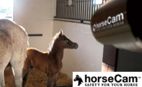horseCAM