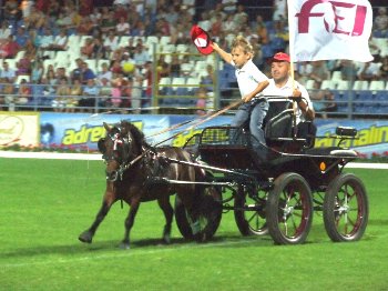 Pónifogat nemzetiszínű pántlikával
