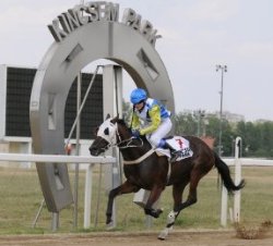 Kincsem Parkban kerülnek megrendezésre a magyarországi galopp- és ügető versenyek