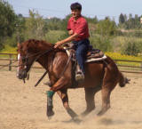 western lovaglás