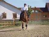 western lovaglás