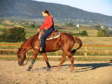 western lovaglás