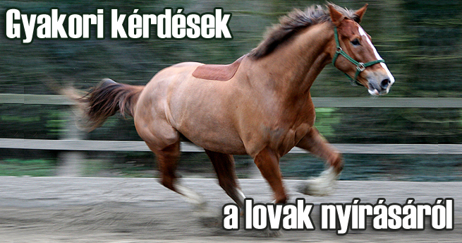 a láb duzzadt ízülete mint a kezelése