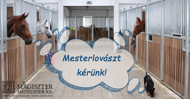 Mindig kiváló cégér a mester cím, a lovászok között is - és ezt még a lovak is így gondolják!